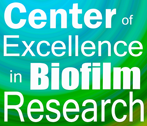 Biofilm Diversity Synergy diagram 