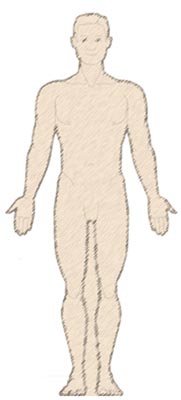 human figure